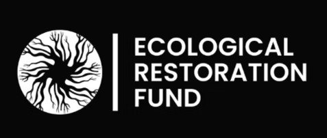 Reforestation et pépinière